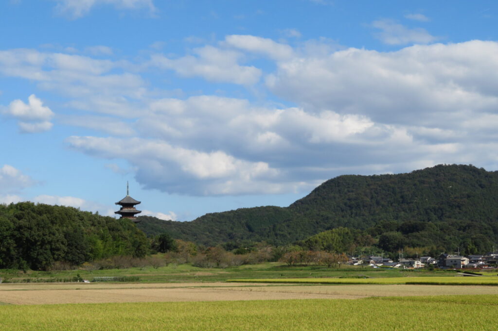 真夏の五重塔